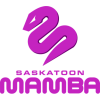 Former Badge