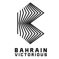 Team Badge
