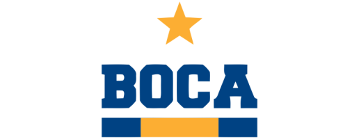 team logo
