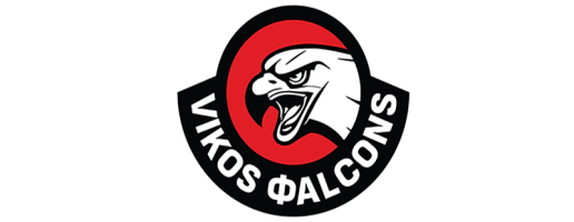 team logo